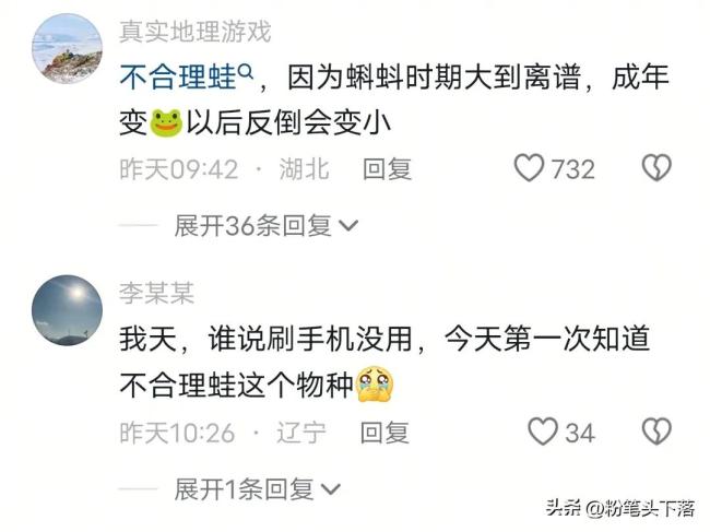 貴陽網(wǎng)友河中捕獲巨型蝌蚪 超大蝌蚪引發(fā)熱議