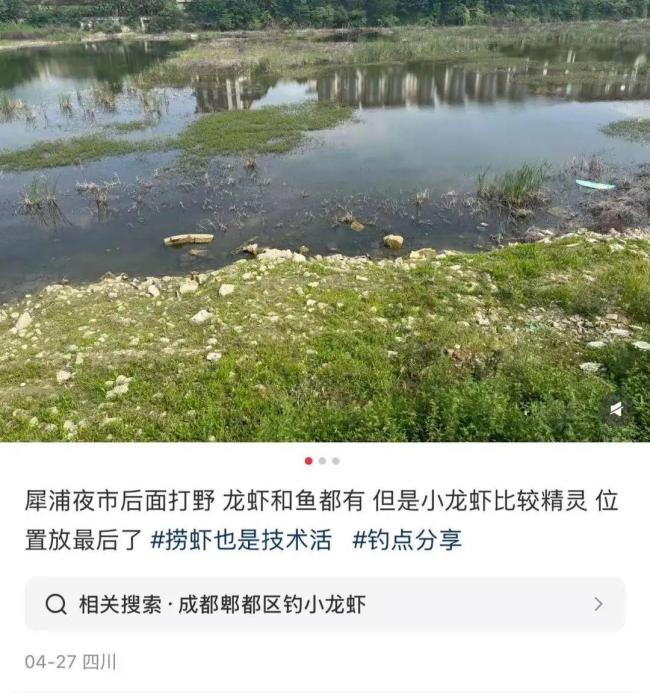 年輕人愛上打野農(nóng)戶深受困擾 采摘潮流引發(fā)爭議