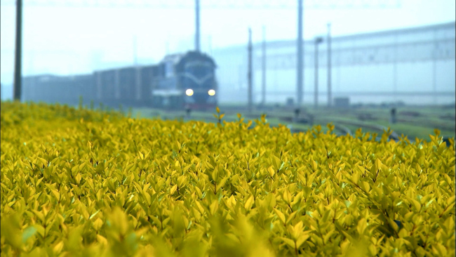 时政微视频 | 丝路新使