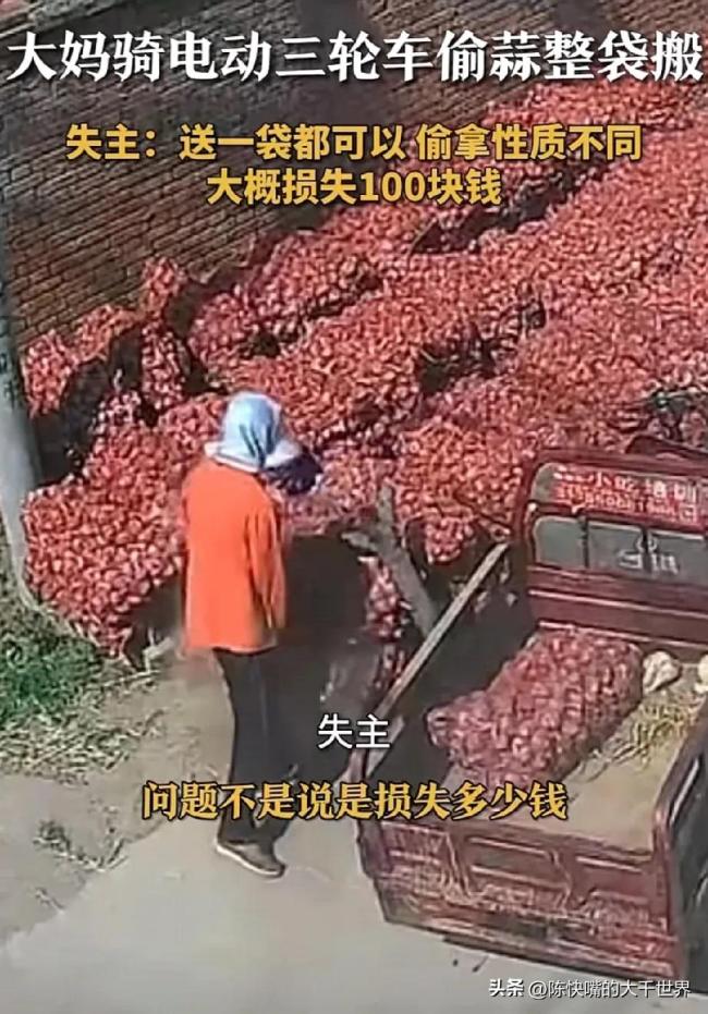 女子路邊偷蒜整袋往車上搬 行為性質(zhì)惡劣