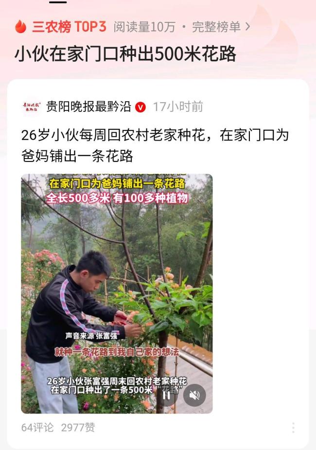 小伙在家门口种出500米花路 乡村新景引关注及全国跳水冠军赛赛程公布 名将云集武