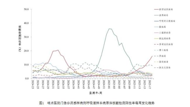 專家：新冠季節(jié)性不明顯 重癥率很低