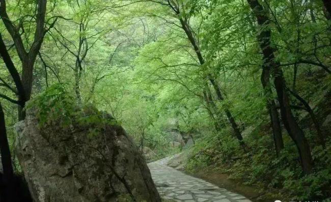 河北多家景區(qū)推出旅游日優(yōu)惠 免票半價享不停