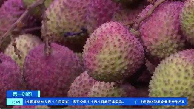 荔枝大量上市迎搶購 價格大幅跳水