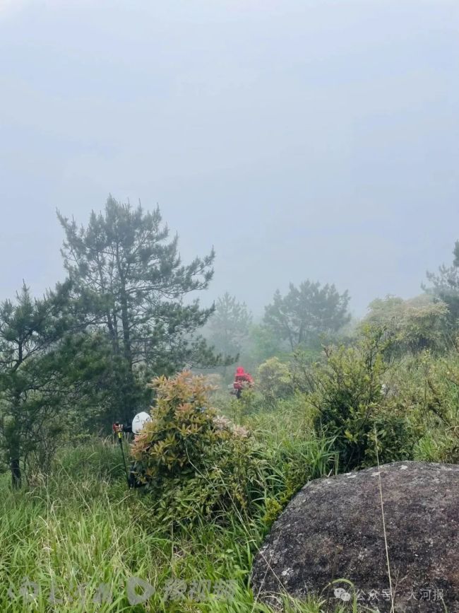 8歲男孩登山失蹤14天仍無音訊 搜救持續(xù)進行中