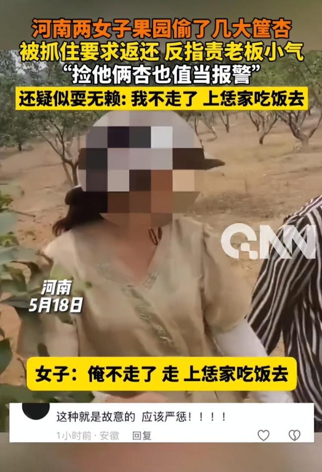 兩女子偷杏被抓責(zé)備老板小氣 無(wú)恥行為引熱議