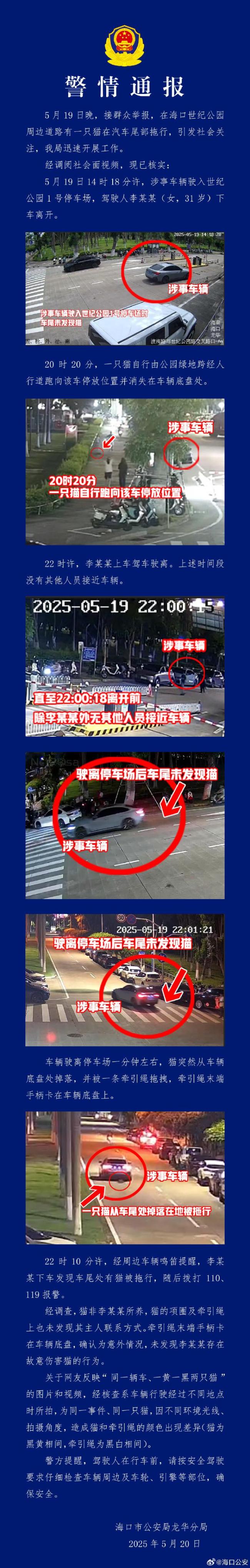 警方回應(yīng)寶馬拖行小貓致死：系意外