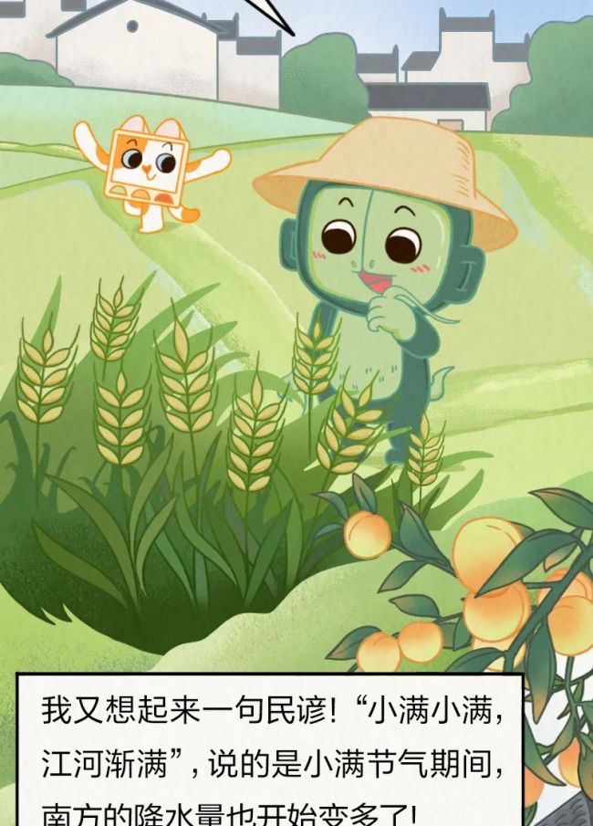 又悶又潮的“梅雨季”,，究竟是怎么來的？