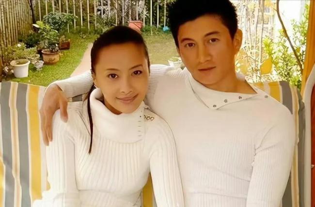 刘诗诗吴奇隆已无共同关联公司 婚姻疑云再起