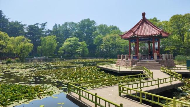 小得盈滿勝萬(wàn)全 恰到好處的豐足喜樂(lè)