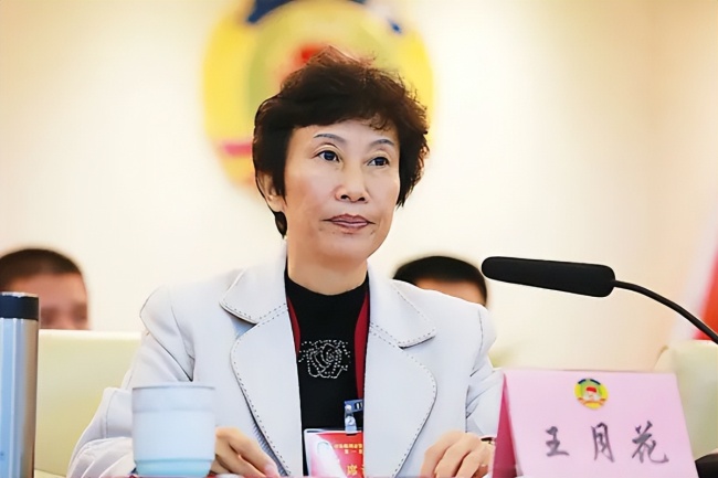 中紀(jì)委通報：云南,、黑龍江兩人被查,！