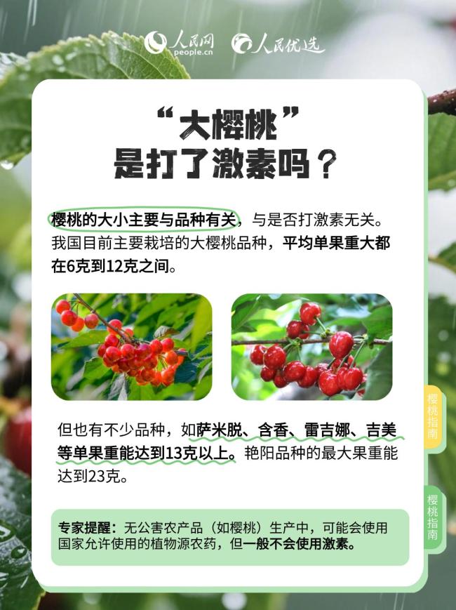 手把手教你如何選櫻桃 櫻桃季挑選指南