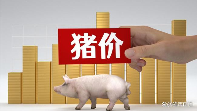 跌猛了,！豬價“報復(fù)性”下跌