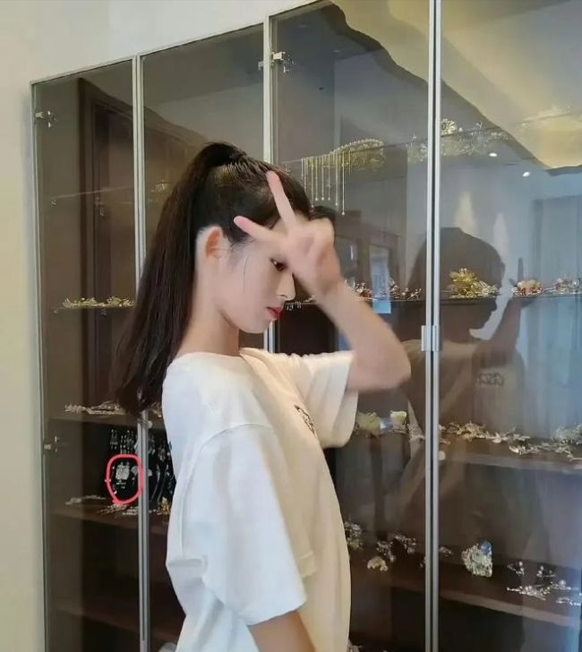 黃楊鈿甜父親被立案影響幾何 一場“炫富引發(fā)的反腐大戲”