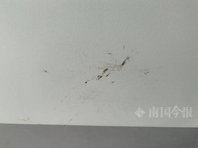 婚房被糞水浸泡 業(yè)主崩潰 新房未入住已泡湯