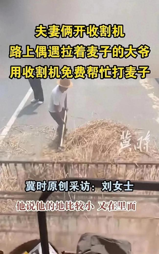 夫妻倆免費(fèi)幫大爺打麥子