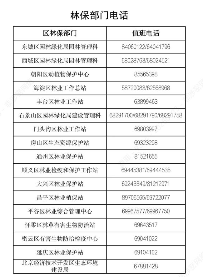 北京街頭“吊死鬼”蟲子激增引關(guān)注,，官方回應(yīng)數(shù)量正常并已防治
