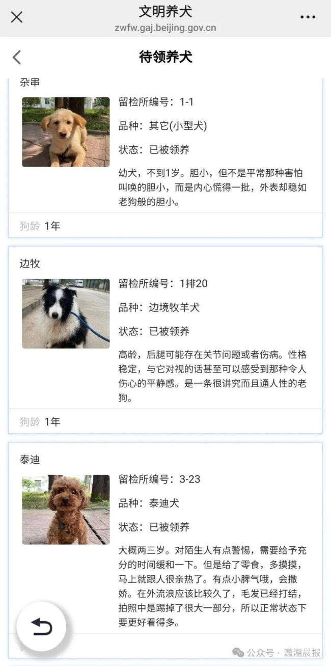 北京警方待領(lǐng)養(yǎng)犬小作文看哭網(wǎng)友