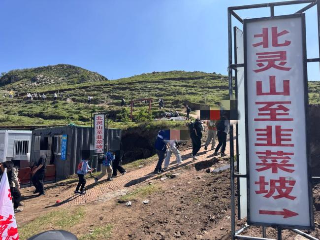 北京北靈山的野韭菜快被薅禿了 徒步采摘熱潮引發(fā)擔(dān)憂