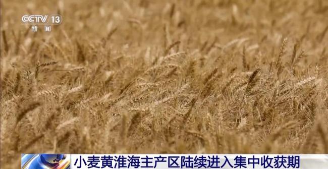 全國(guó)夏糧搶收進(jìn)行時(shí) 1700萬(wàn)臺(tái)套農(nóng)機(jī)具戰(zhàn)“三夏”