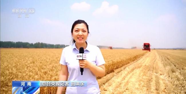 全國(guó)夏糧搶收進(jìn)行時(shí) 1700萬(wàn)臺(tái)套農(nóng)機(jī)具戰(zhàn)“三夏”