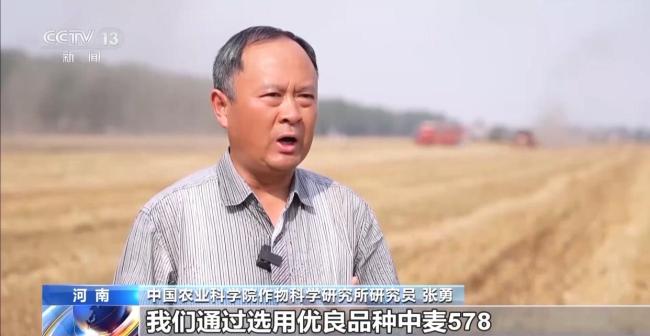 全國夏糧搶收進行時 1700萬台套農機具戰“三夏”