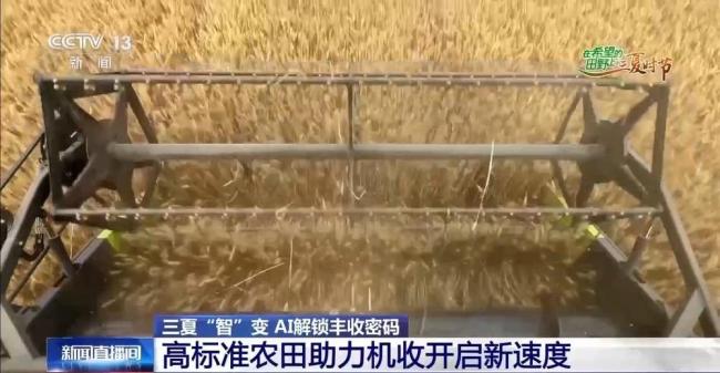 全國麥收進度已超兩成 農機跑出新速度