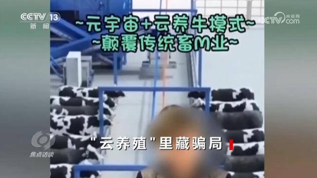 多部門將嚴(yán)打云養(yǎng)殖騙局 警惕高收益陷阱