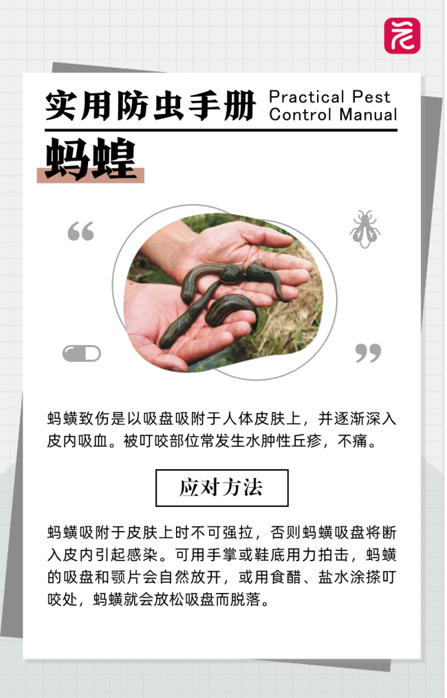 男子在沙發(fā)上睡了一覺險(xiǎn)截趾 蟲咬引發(fā)嚴(yán)重感染