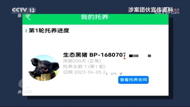 央視曝光云養(yǎng)殖騙局黑幕