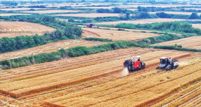 AI時(shí)政畫報(bào)｜大農(nóng)業(yè)的路子寬又闊