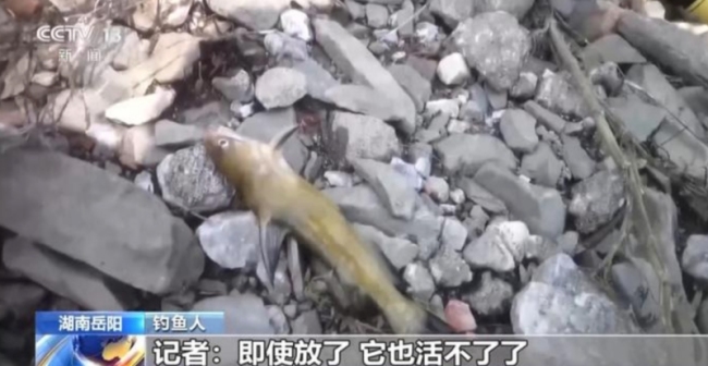 央視曝光保護區(qū)里的“瘋狂垂釣”