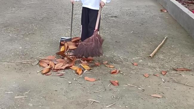 多方回應(yīng)學(xué)生疑因打掃被校長毆打 教育管理之責(zé)何在