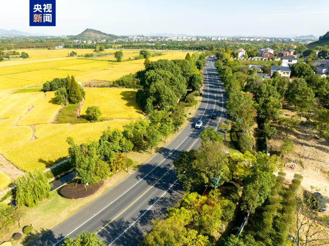 2024年全國"十大最美農村路"發(fā)布 哪條最讓你心動