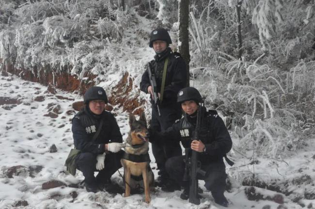 3條警犬退役訓導員濕了眼眶 無言戰(zhàn)友光榮卸甲