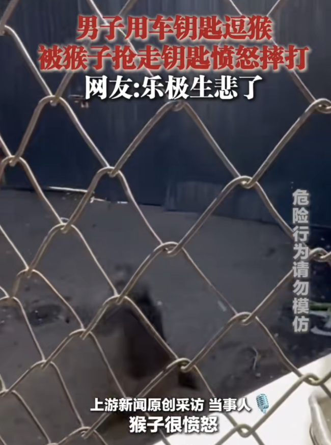 男子用車鑰匙逗猴被猴搶走