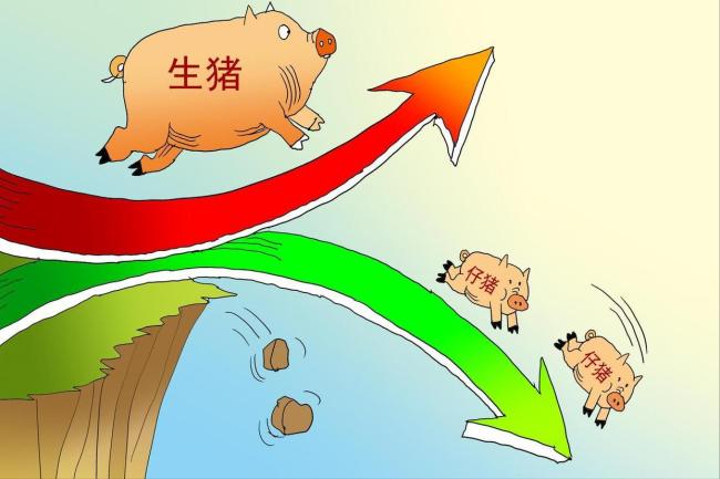 油價(jià)將調(diào)整！92號(hào)汽油或重返“7元時(shí)代”