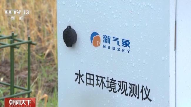小麥“顆粒歸倉”有了“最強(qiáng)大腦”