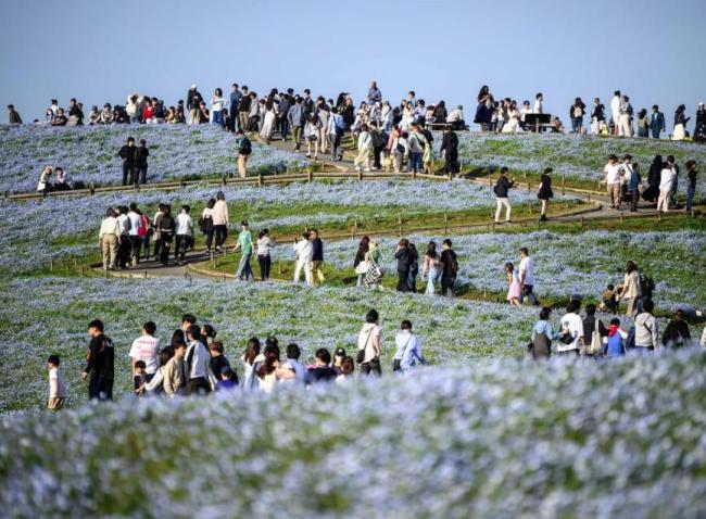 “日本7月5日末日論”瘋傳 專家解讀 謠言影響旅游業(yè)