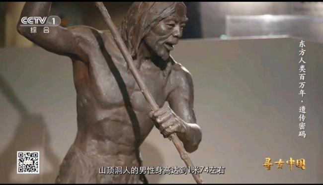 距今約3萬(wàn)年的山頂洞人身高曝光 遠(yuǎn)古人類身高新發(fā)現(xiàn)