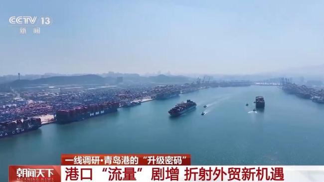 從4小時到20分鍾 青島港科技升級貨物“秒通關”