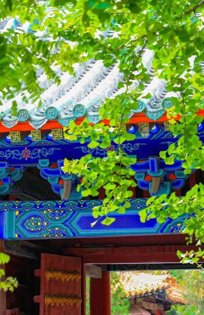 山東200家景區(qū)納客839.5萬(wàn) 文旅消費(fèi)顯著增長(zhǎng)