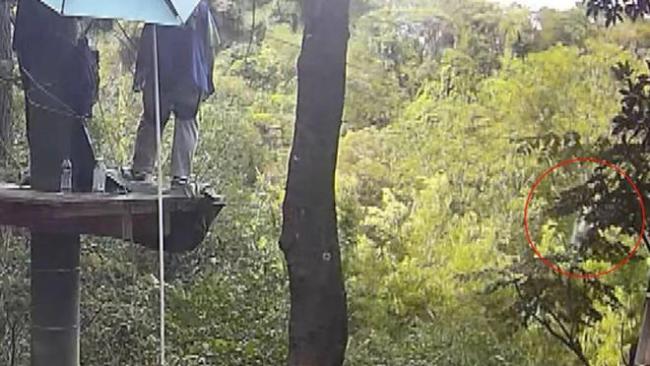 女孩高空滑索墜落景區(qū)涉事項(xiàng)目整改 安全帶隱患待查