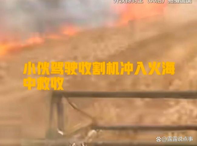 男子開收割機(jī)沖進(jìn)起火麥田搶收 00后勇?lián)?zé)任