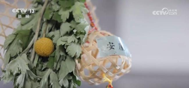 中国龙舟文化“划”向全世界