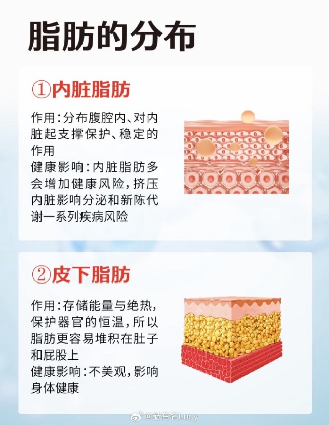 搞懂脂肪代谢 减脂先减内脏脂肪