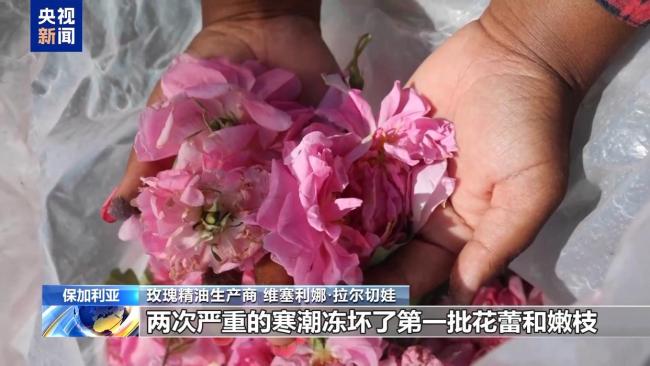 美關(guān)稅政策令保精油生產(chǎn)商添隱憂