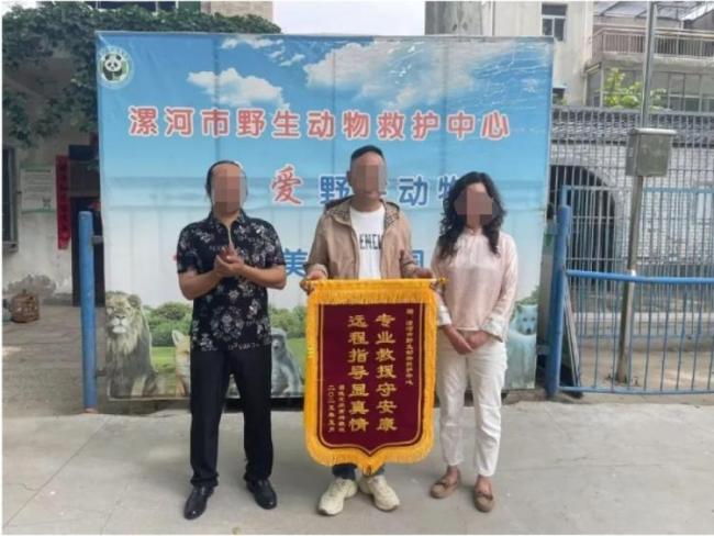 男子被蝮蛇咬傷 發(fā)現(xiàn)全市無(wú)適配血清 緊急尋醫(yī)跨城救治