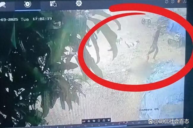 印度八旬老妇遭侵犯拖行致死 性别暴力顽疾再现