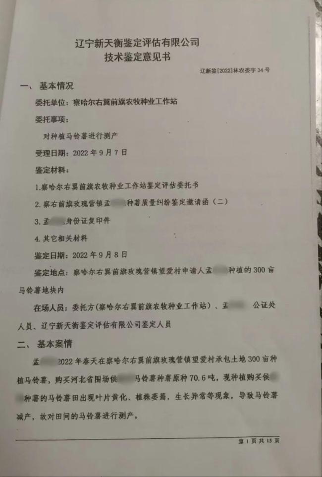 毒种子致农民损失超200万 假种薯引发农业危机
